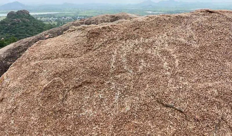 Rock bruising of a bull, Musapet. Image Source: Telangana Today